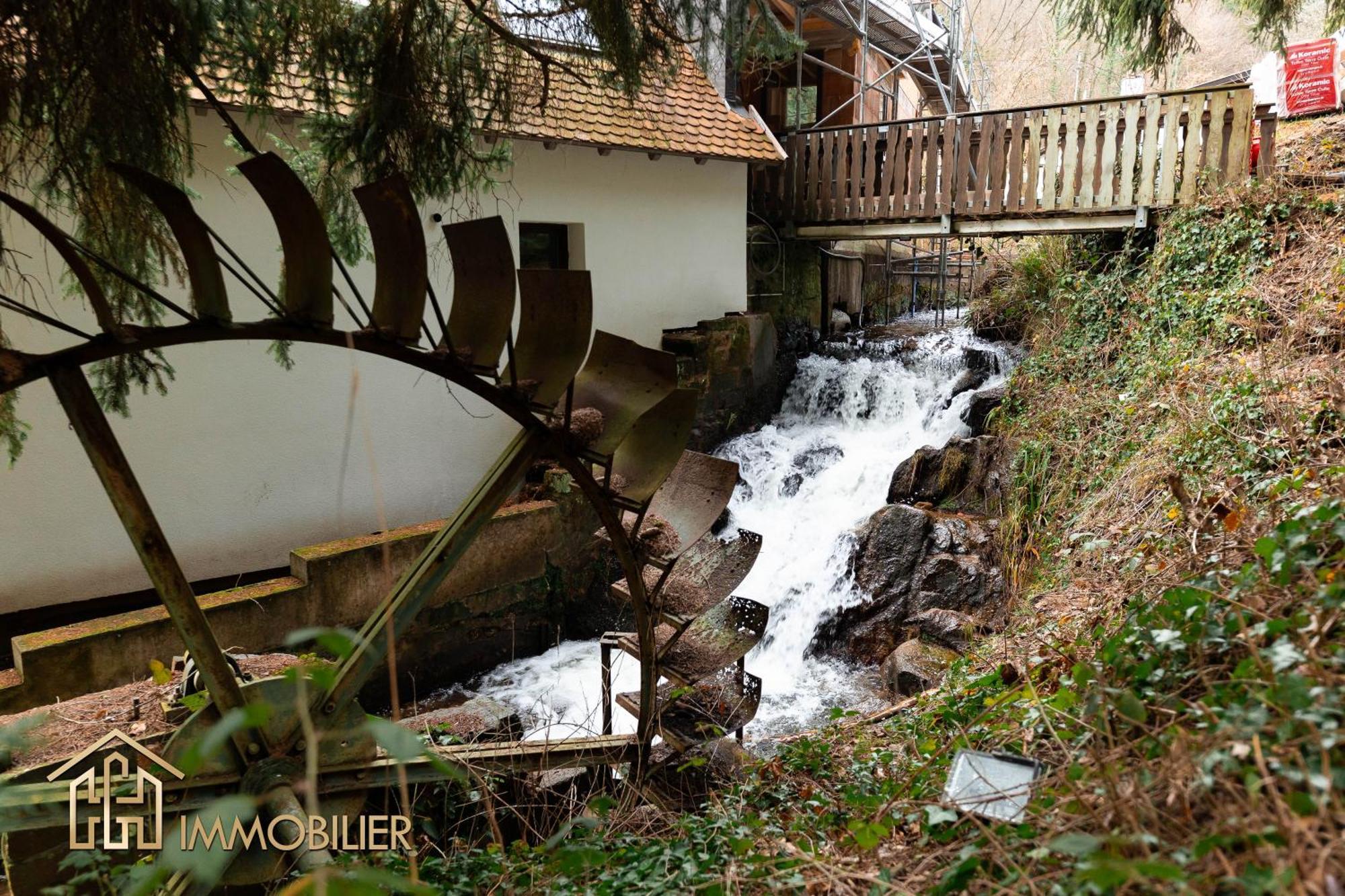 Domaine De La Source Gites 4 Personnes Au Calme Barr Exterior photo